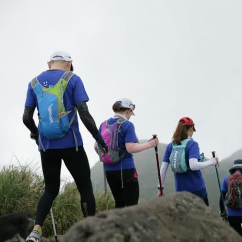 groupe de marcheurs nordique