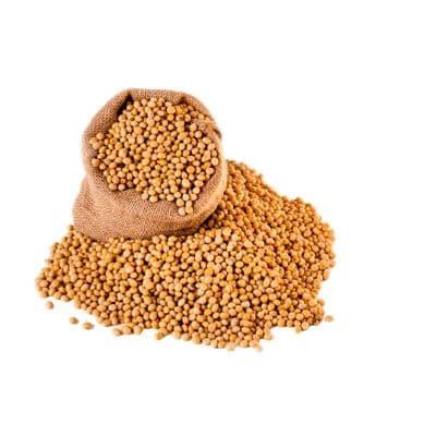 Billes de protéines de soja