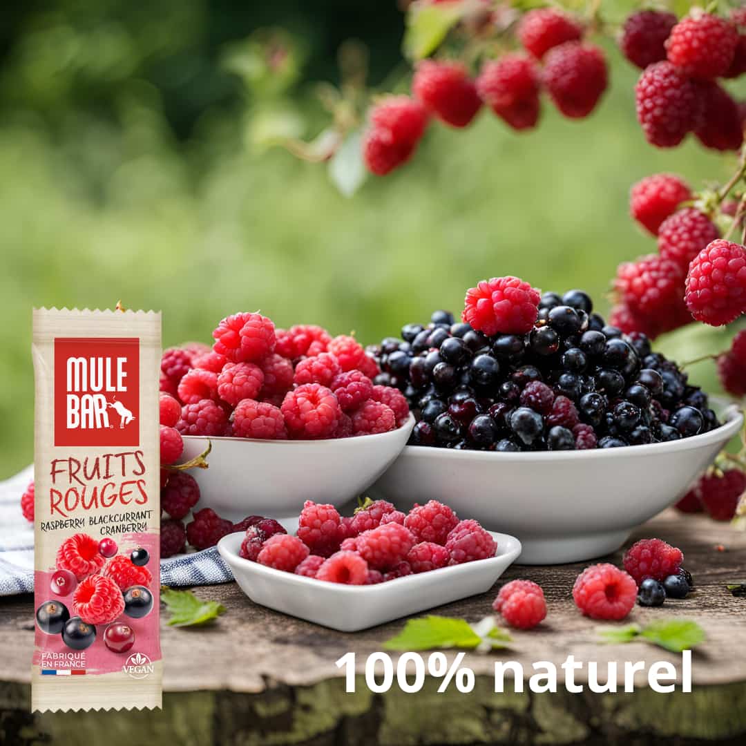 Publicité barre énergétique vegan Mulebar framboise cassis canneberges 40g