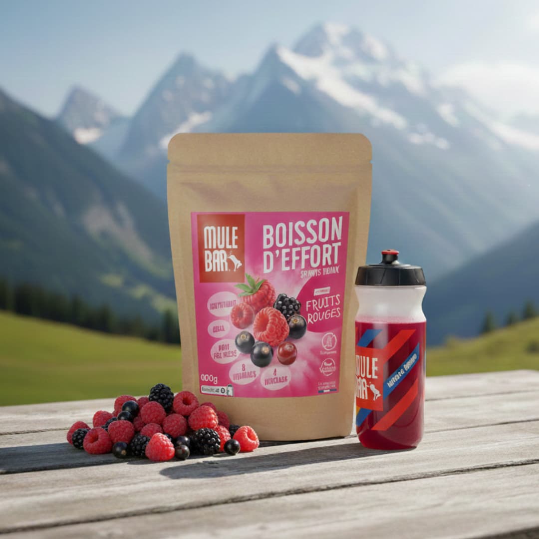 Boisson isotonique Mulebar fruits rouges