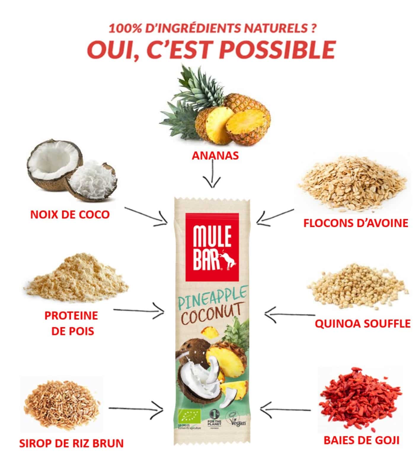 Ingrédients barre énergétique vegan Mulebar ananas coco baies de goji