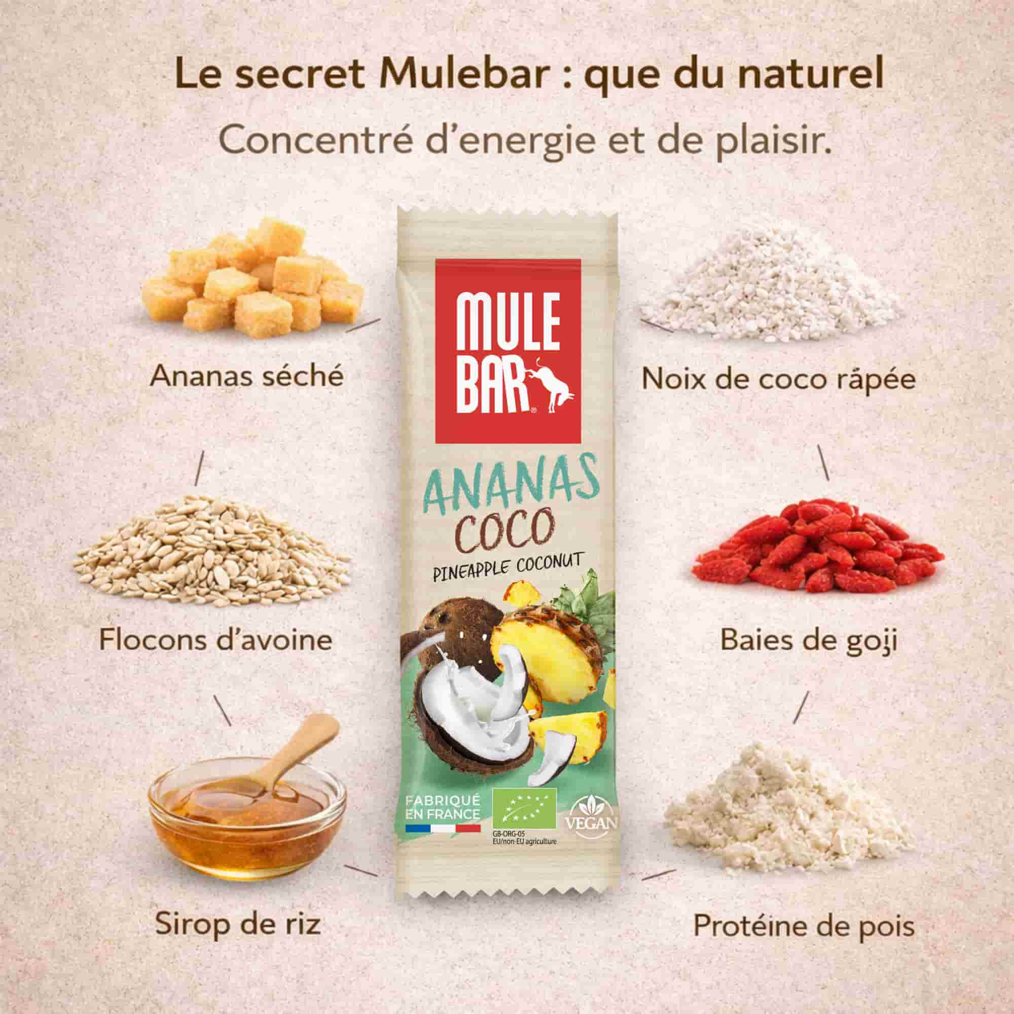 Ingrédients barre énergétique Mulebar ananas coco goji