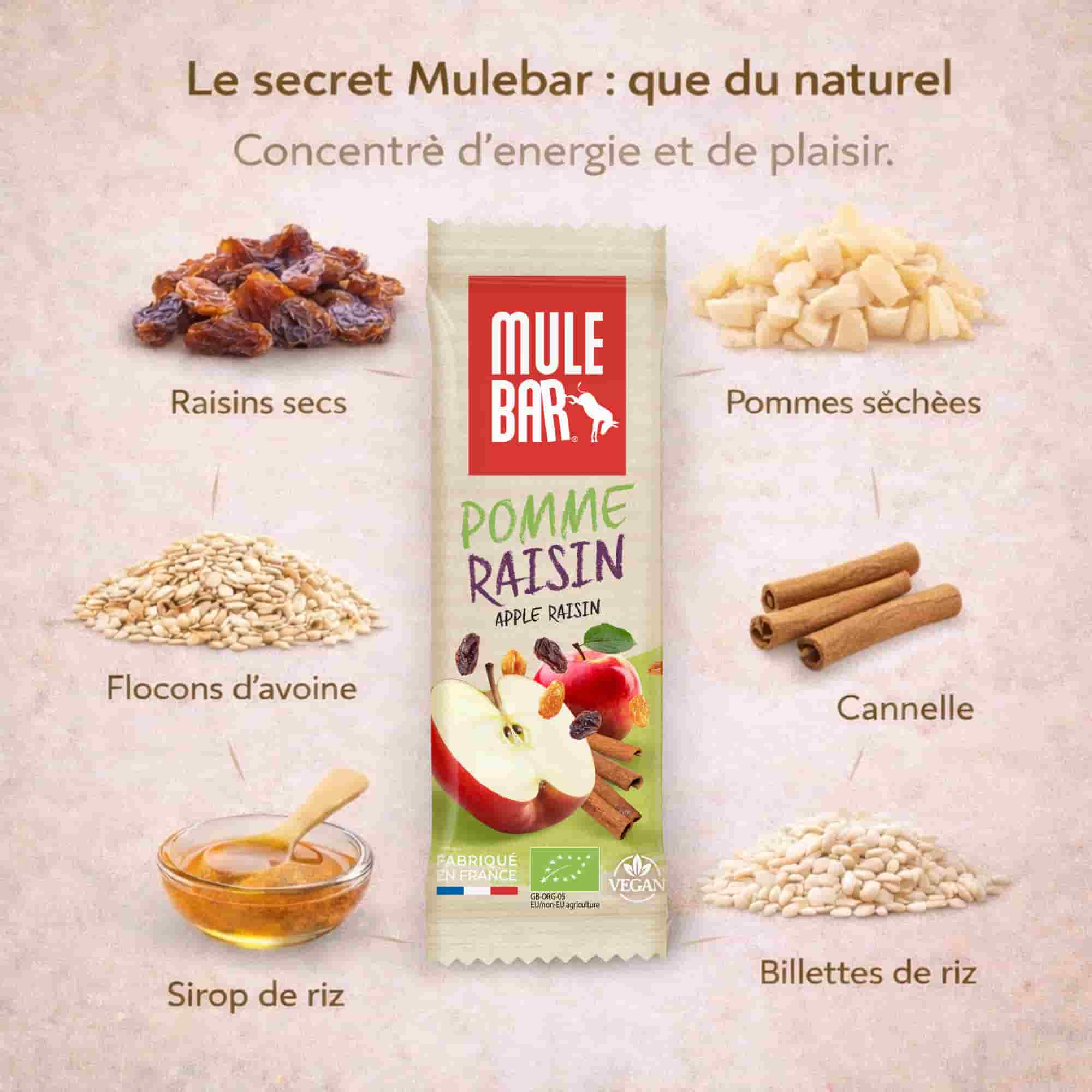 Ingrédients barre énergétique Mulebar pomme raisin cannelle