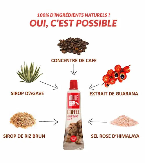 Ingrédients gel énergétique caféiné Mulebar café