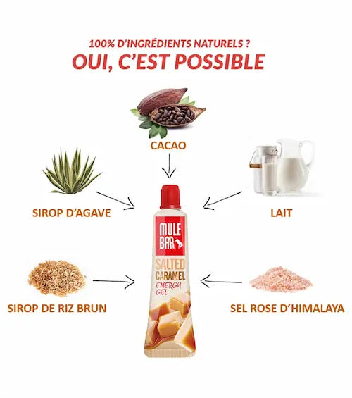 Ingrédients gel énergétique sans gluten Mulebar Caramel salé