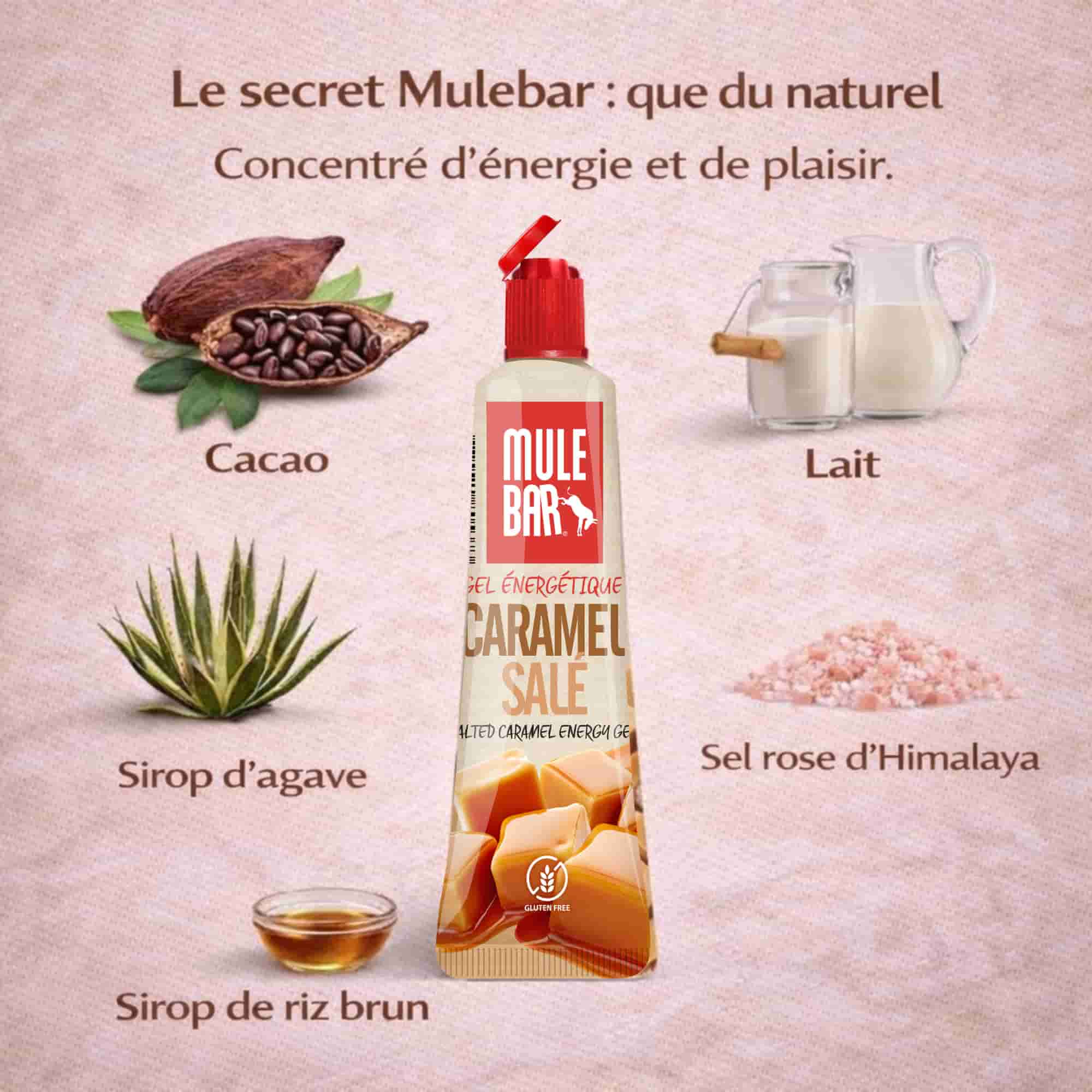 Ingrédients gel énergétique Mulebar caramel salé