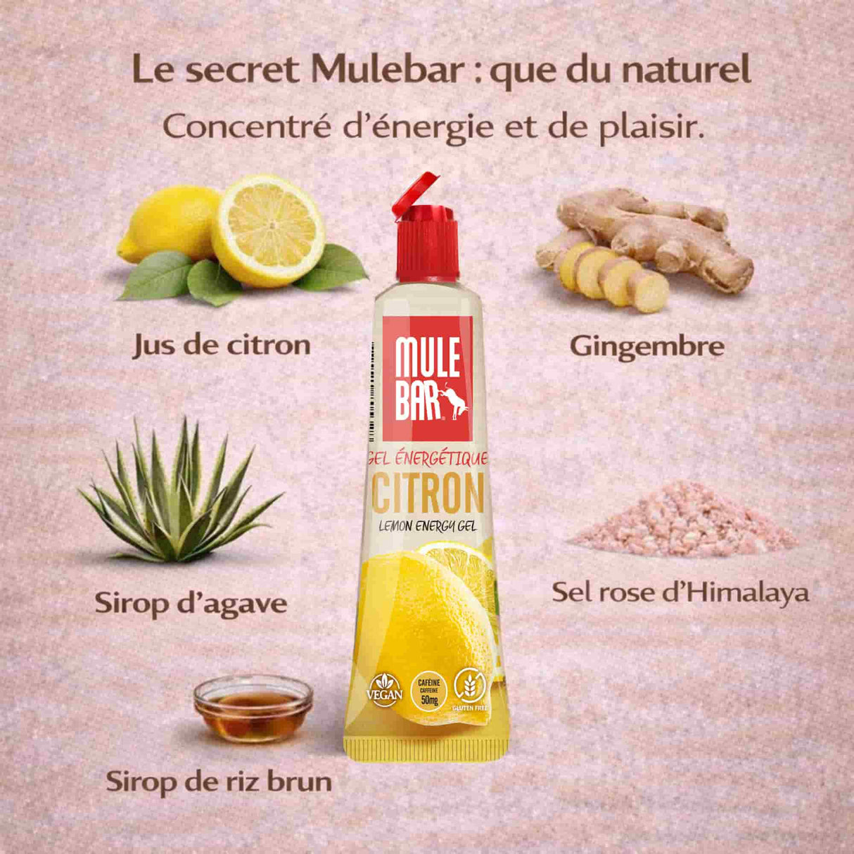 Ingrédients gel énergétique caféiné Mulebar citron