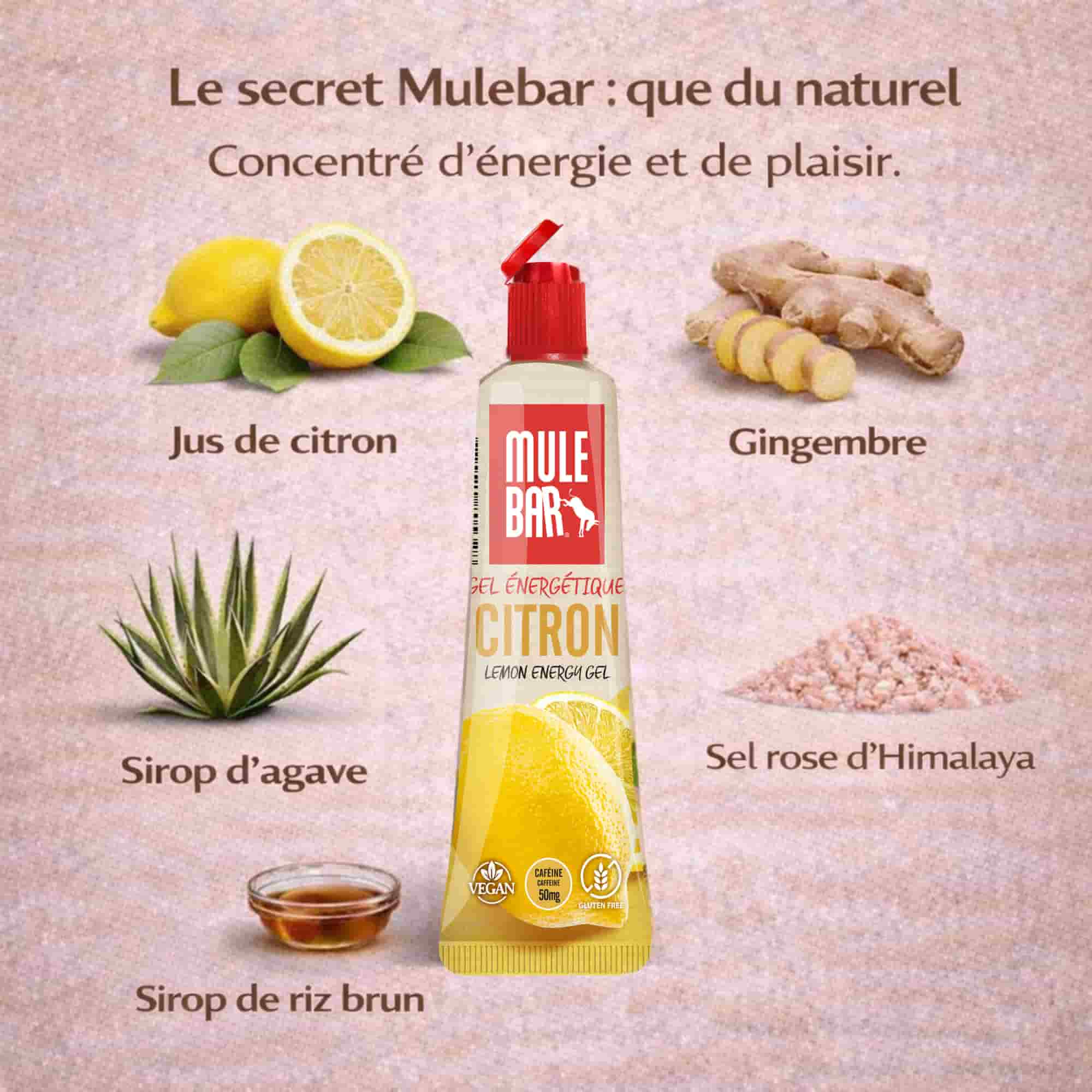 Ingrédients gel énergétique caféiné Mulebar citron