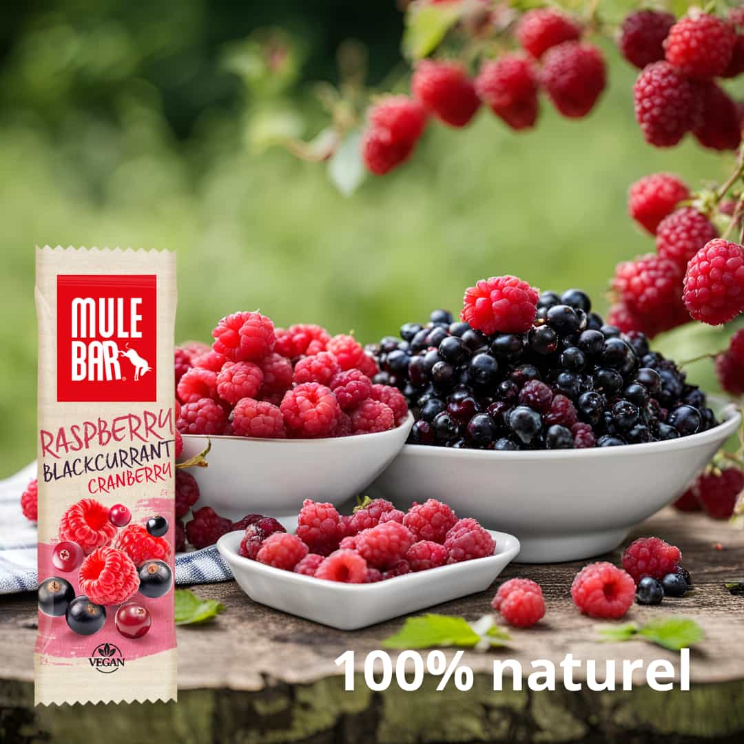 Publicité barre énergétique vegan Mulebar framboise cassis canneberges 40g
