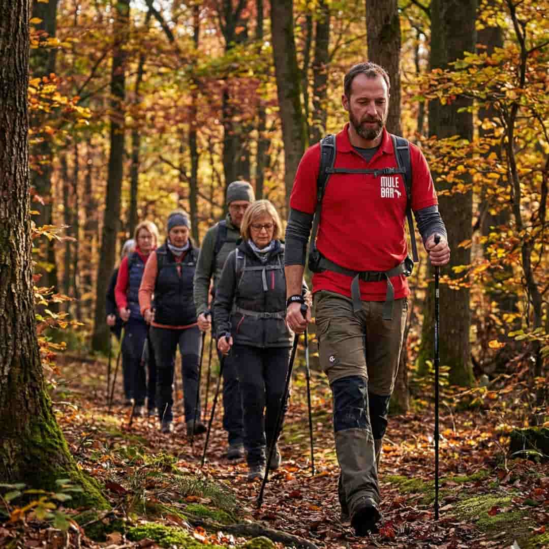 Groupe de marcheurs nordiques dans la forêt