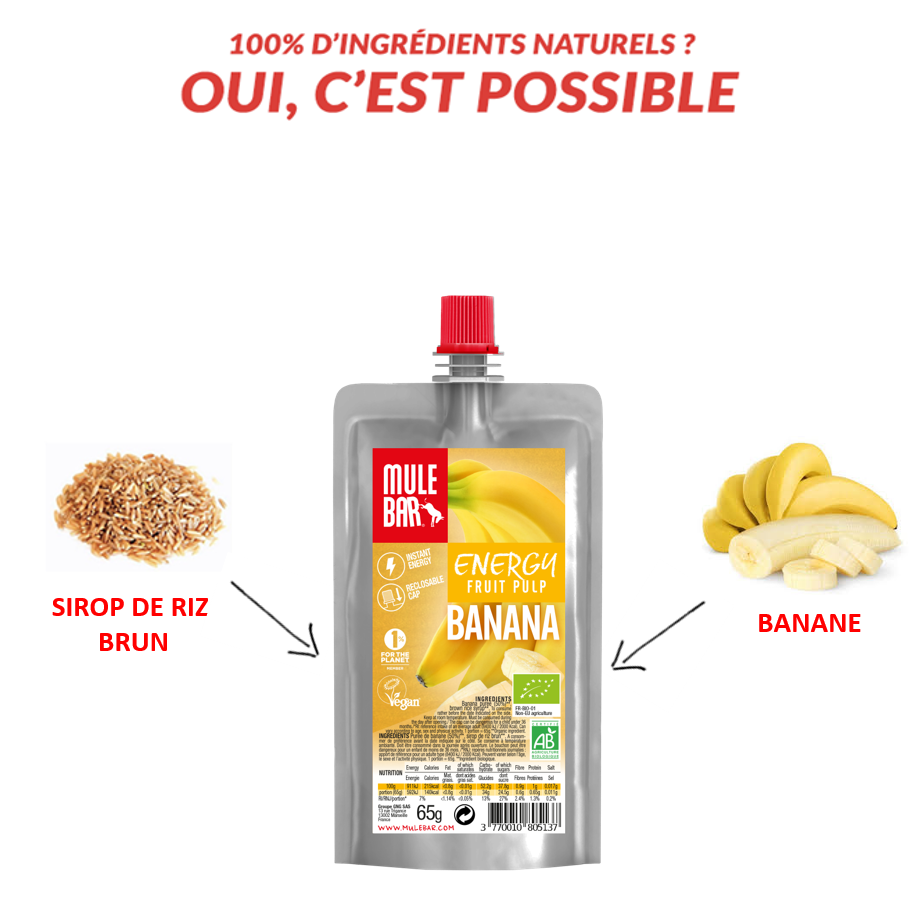 Ingrédients compote énergétique bio et vegan Mulebar banane