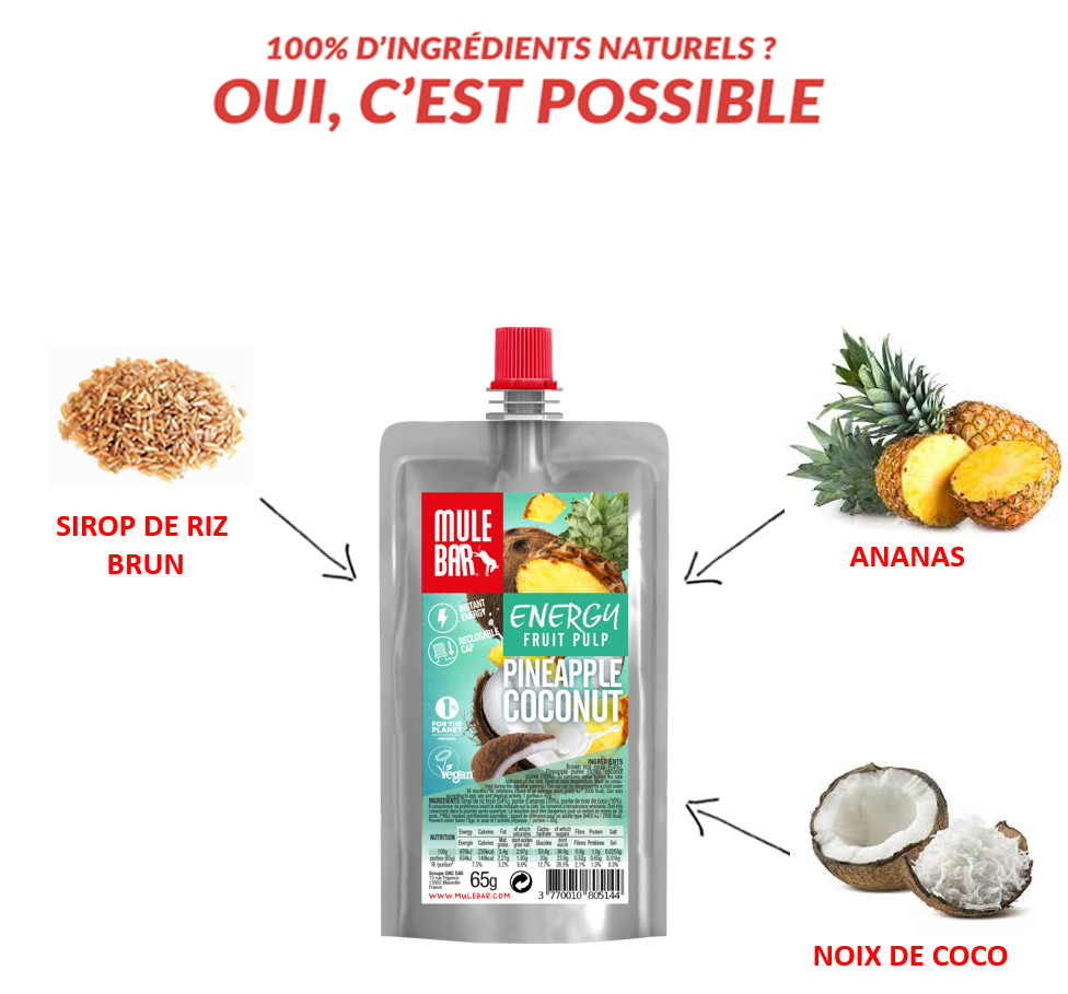 Ingrédients compote énergétique bio et vegan Mulebar ananas coco