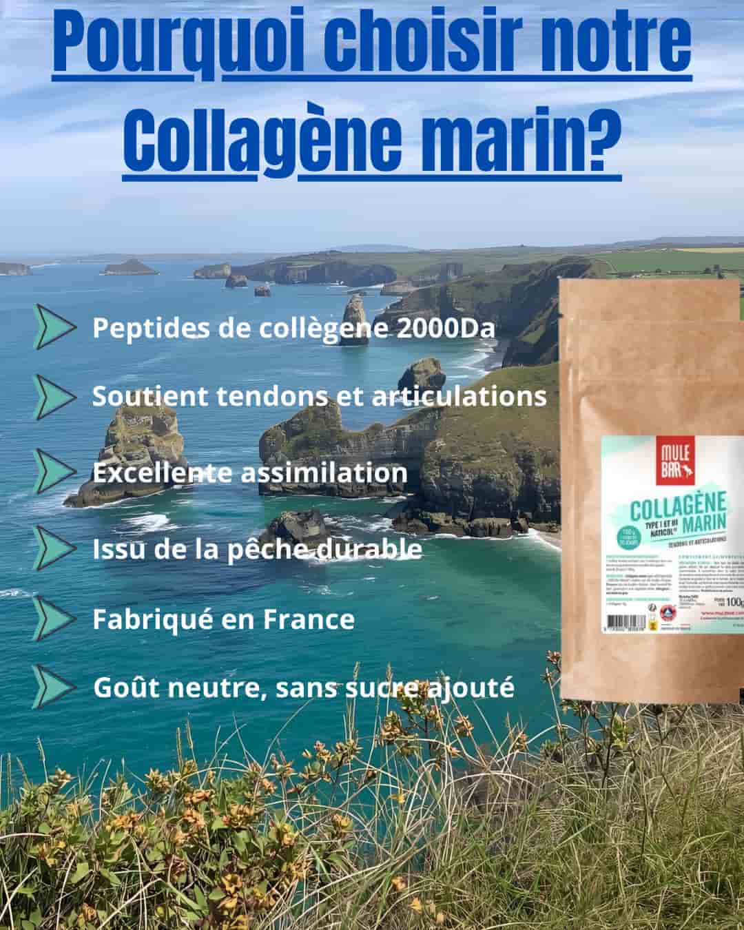 Les avantages du collagène marin Mulebar