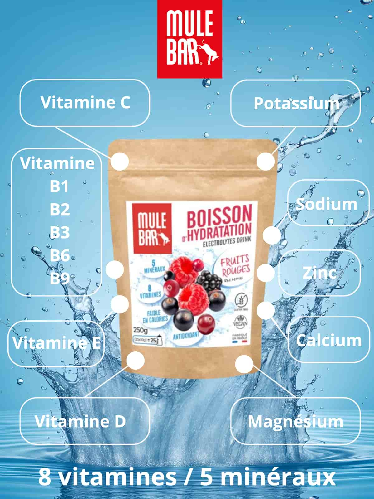 Description composition boisson d'hydratation Mulebar fruits rouges