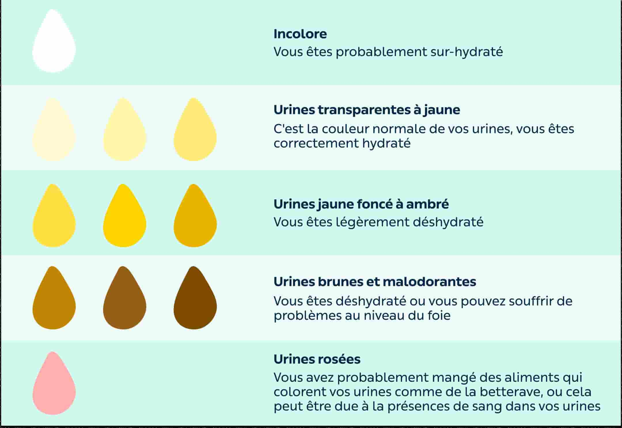 Déshydratation selon couleur de l'urine