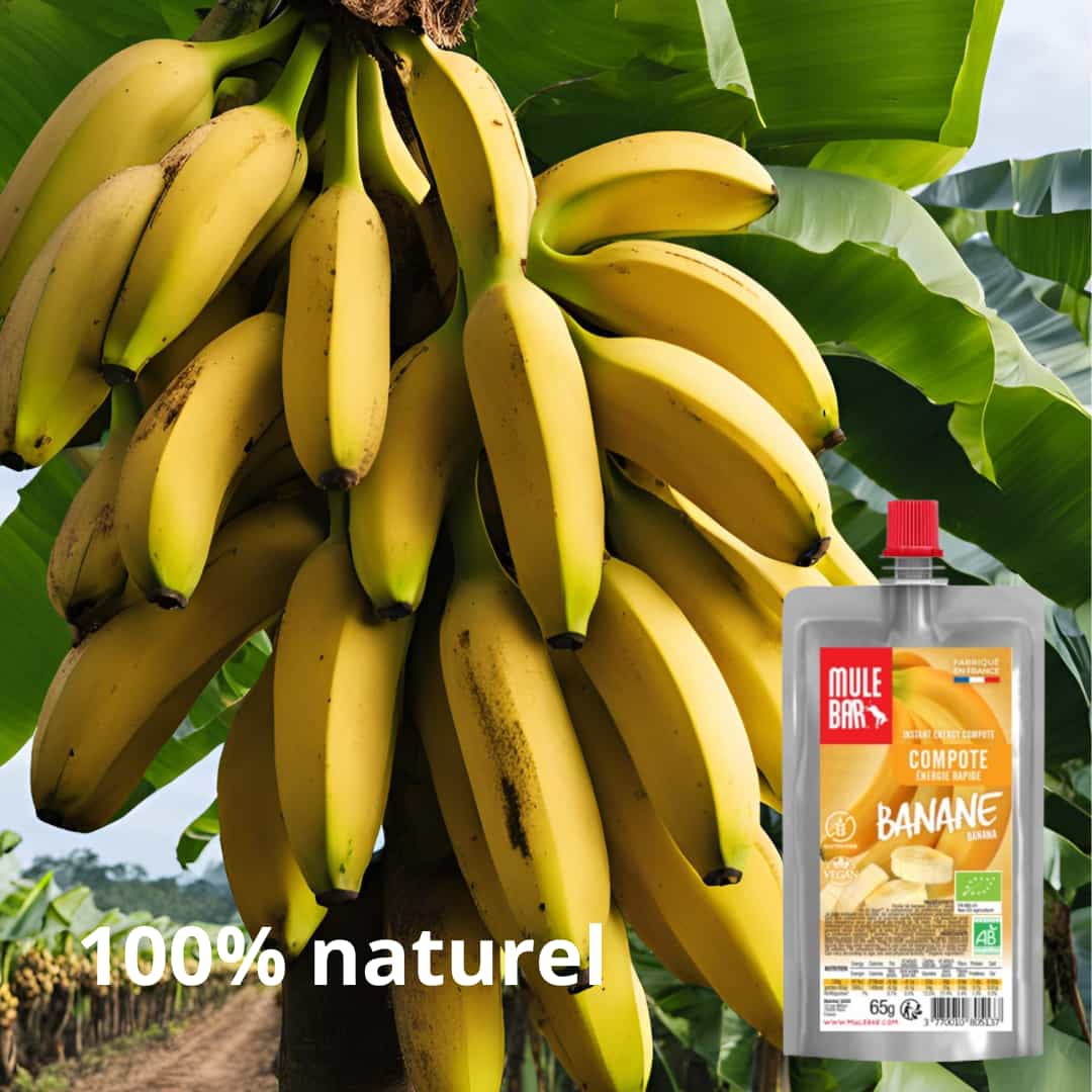 Publicité compote énergétique bio et vegan Mulebar banane 65g
