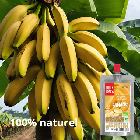 Publicité compote énergétique bio et vegan Mulebar banane 65g