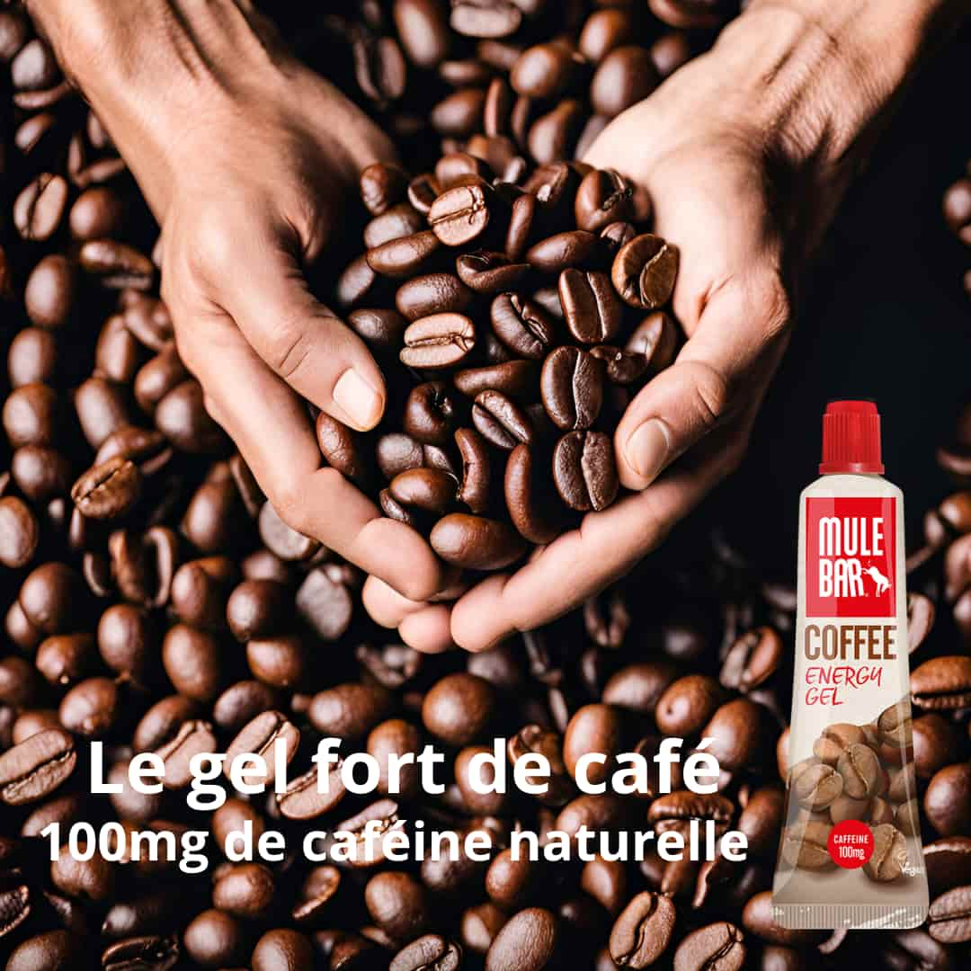 Deux mains portant des grains de café pour le gel café Mulebar