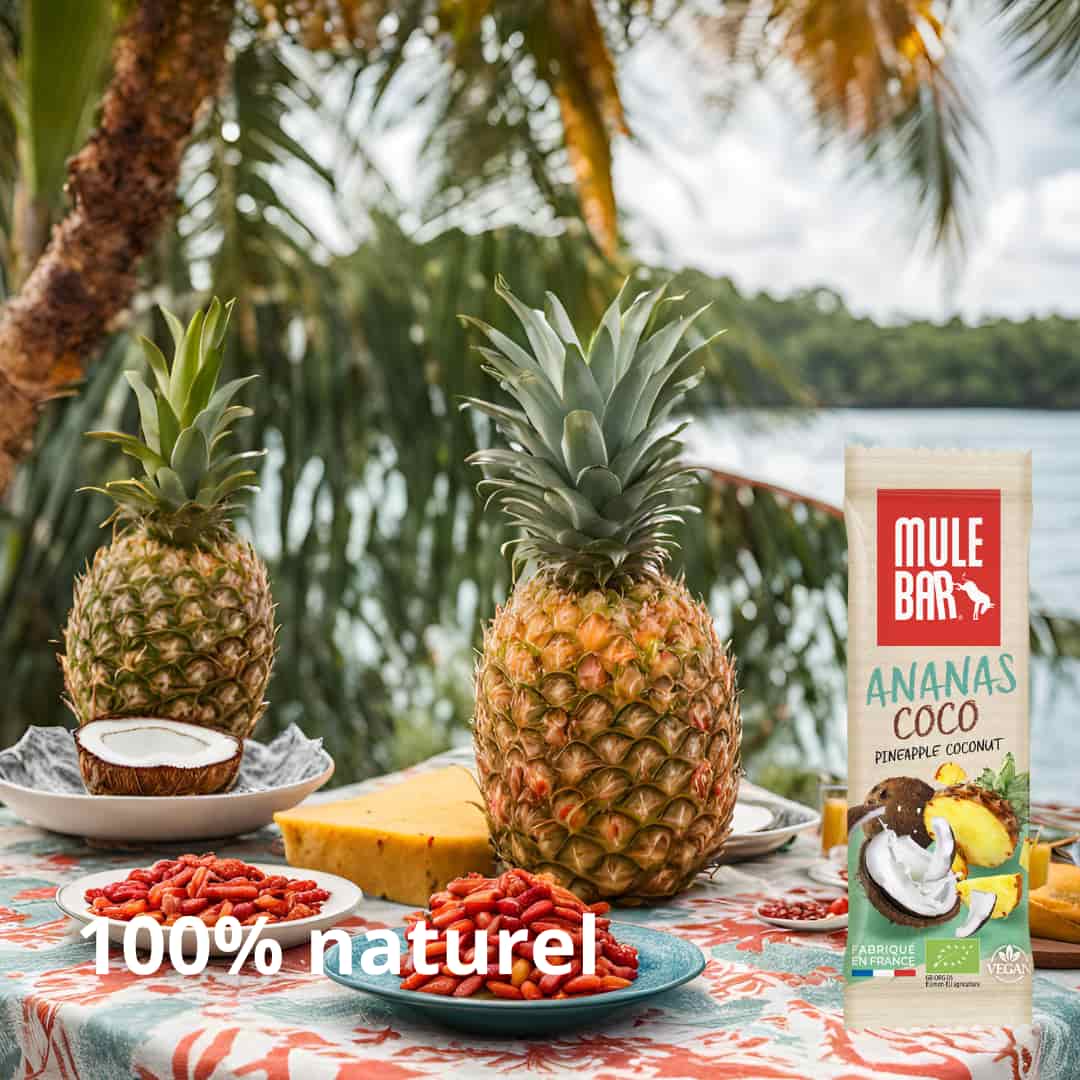 Barre Mulebar ananas coco 40g