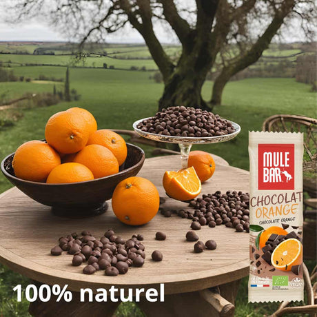 Publicité barre énergétique bio et vegan Mulebar chocolat orange 40g