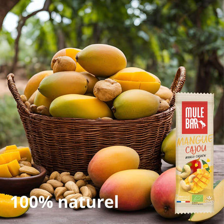 Publicité barre énergétique bio et vegan Mulebar mangue noix de cajou 40g