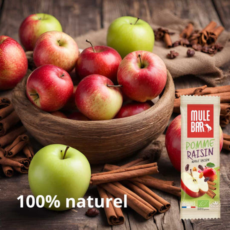 barre énergétique bio et vegan Mulebar pomme cannelle raisin 40g
