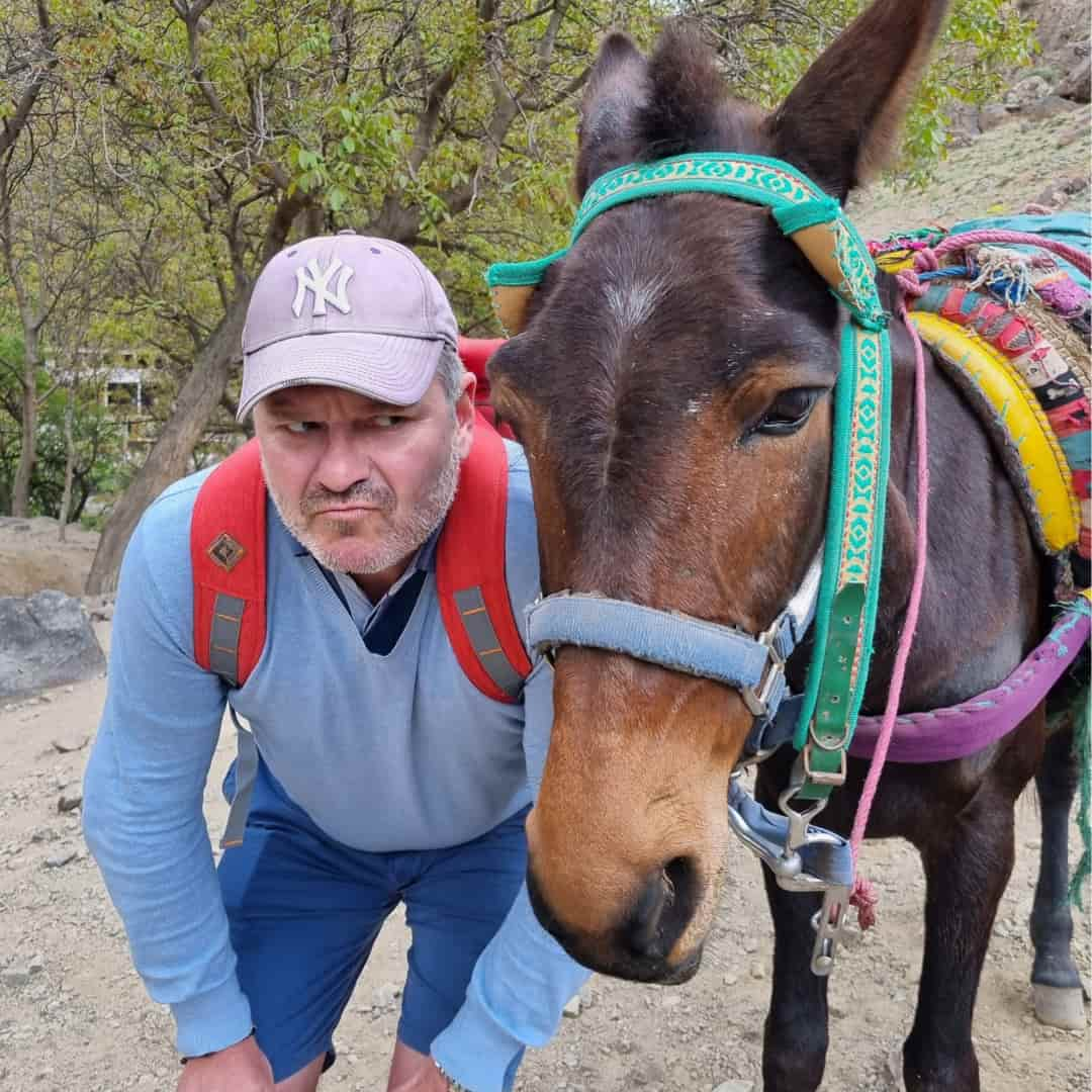 Greg de Mulebar à côté d'une mule