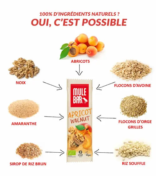 Ingrédients barre énergétique bio et vegan Mulebar abricot noix