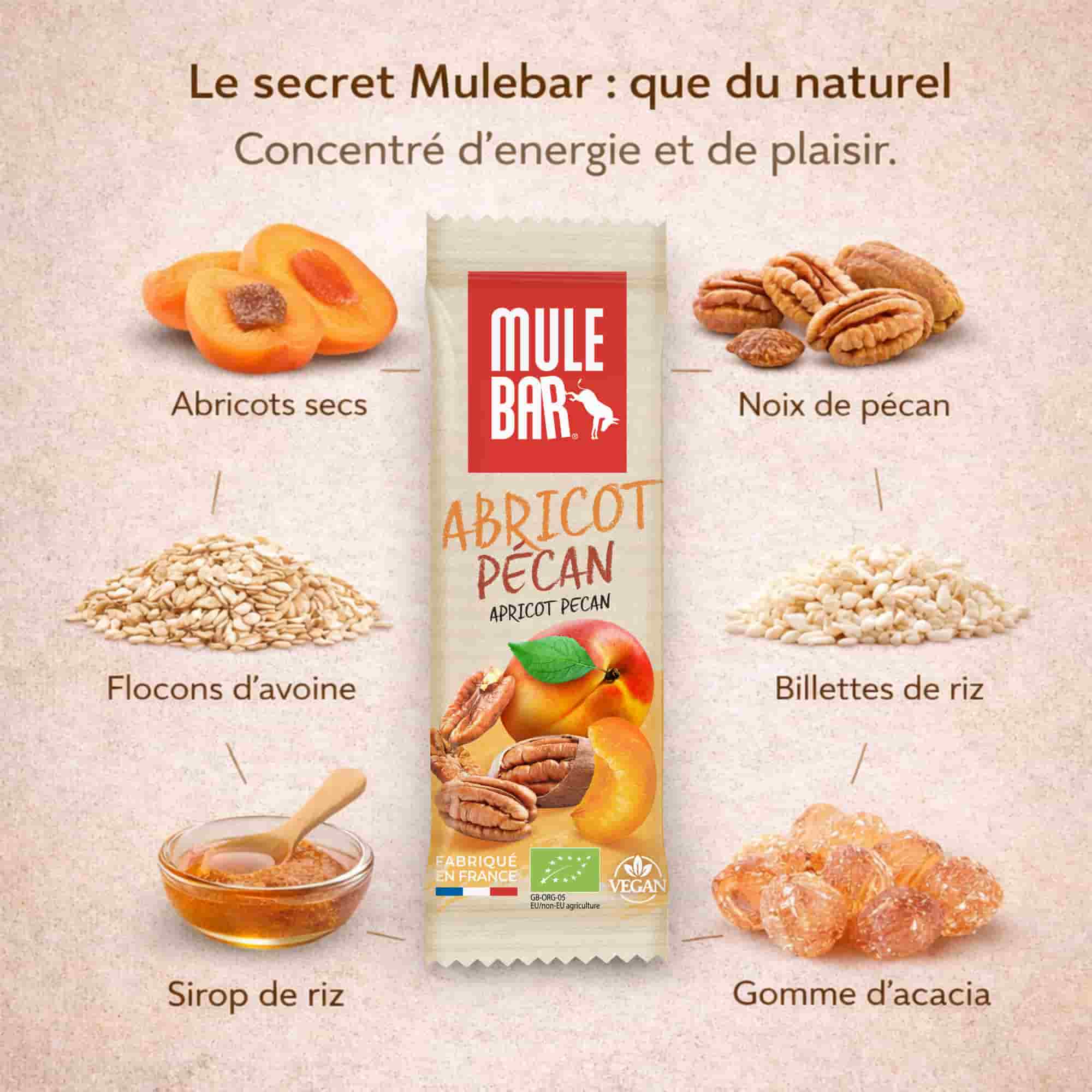 Mulebar organic and vegan energy bar 40g / Apricot pecan Nut