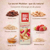 Ingrédients barre énergétique Mulebar cacahuète framboise