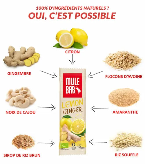 Ingrédients barre énergétique bio et vegan Mulebar citron gingembre