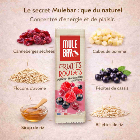 Ingrédients barre fruits rouges Mulebar