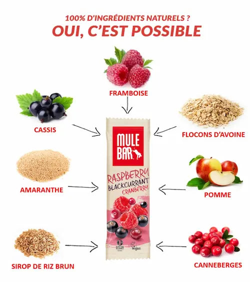 Ingrédients barre énergétique vegan Mulebar Framboise Cassis Canneberges