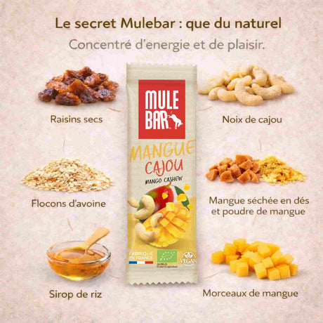 Ingrédients barre énergétique Mulebar mangue noix de cajou