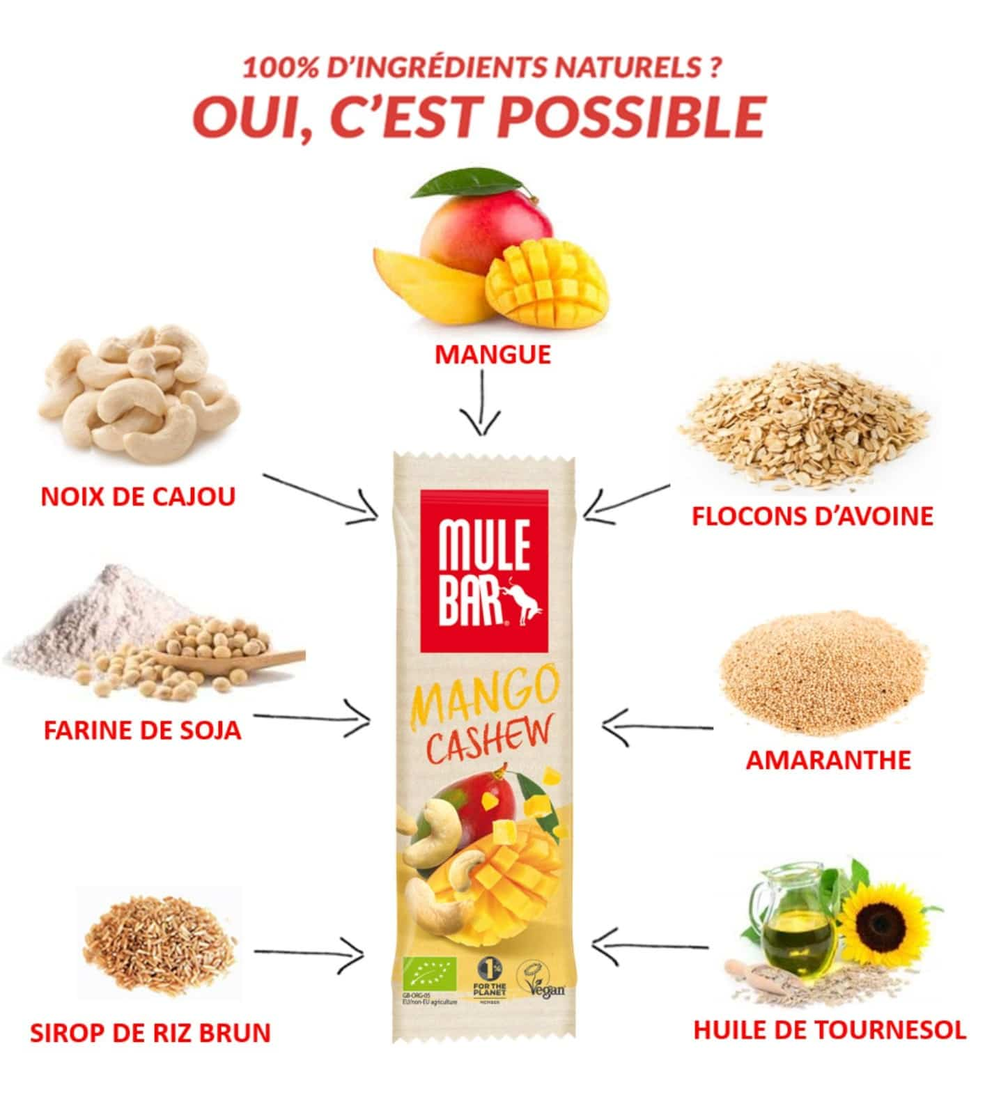 Ingrédients barre énergétique bio et vegan Mulebar mangue noix de cajou