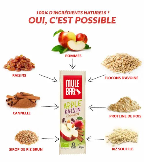 Ingrédients barre énergétique bio et vegan Mulebar pomme raisin cannelle