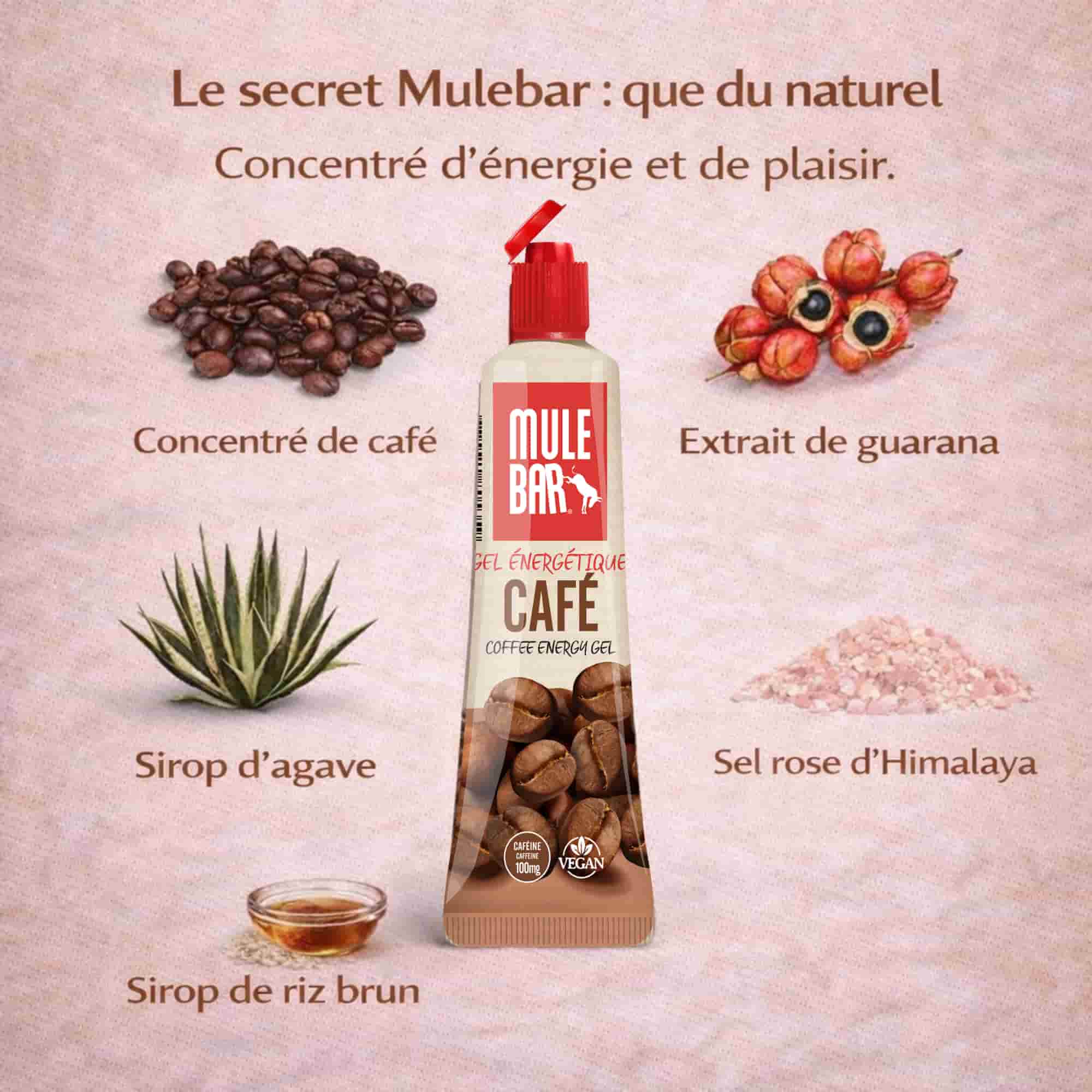 Ingrédients gel énergétique caféiné Mulebar café