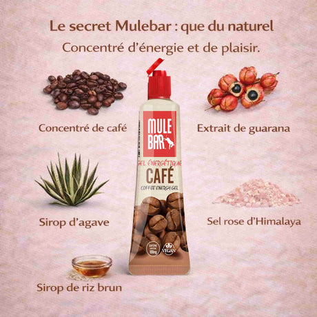Ingrédients gel énergétique caféiné Mulebar café