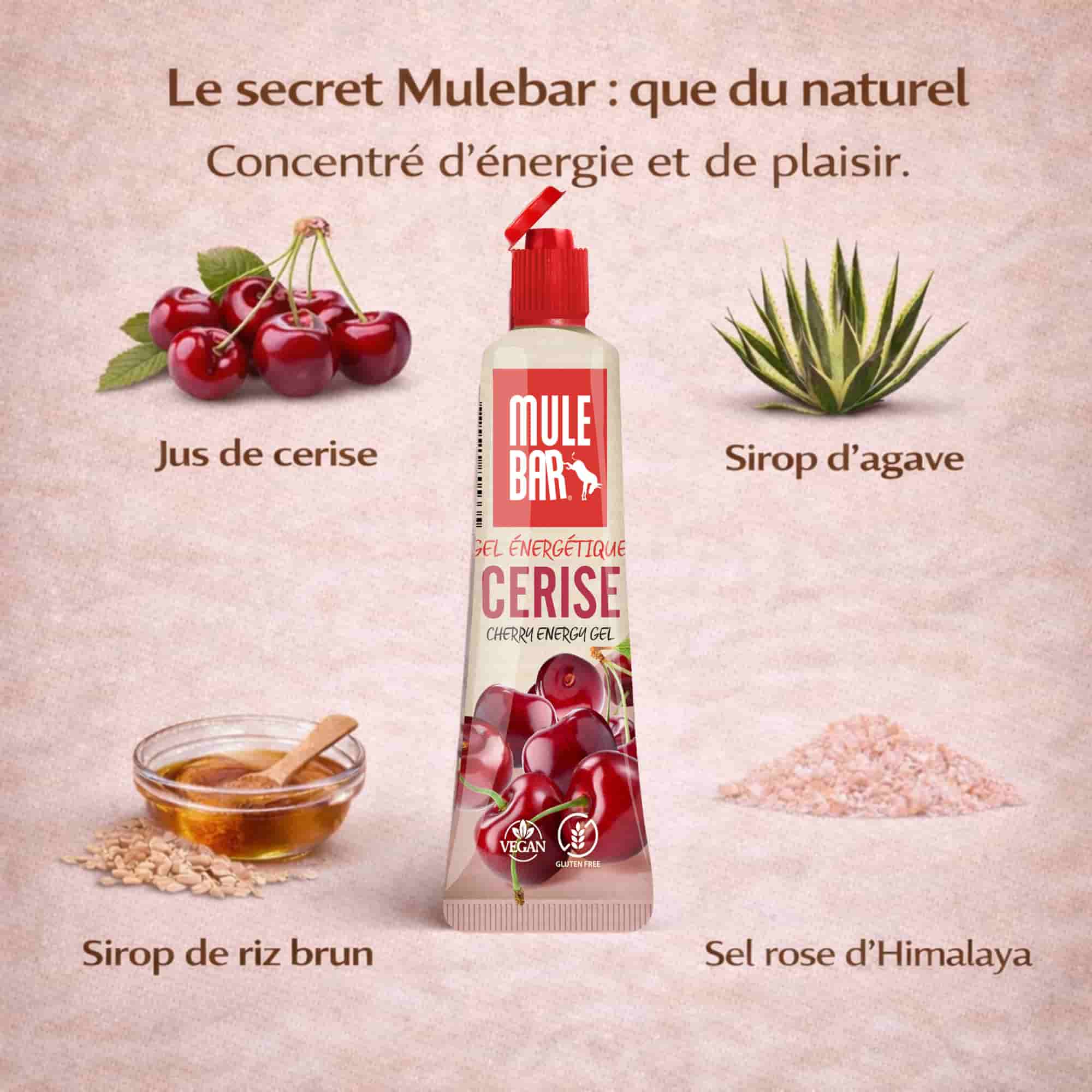 Ingrédients gel énergétique Mulebar cerise