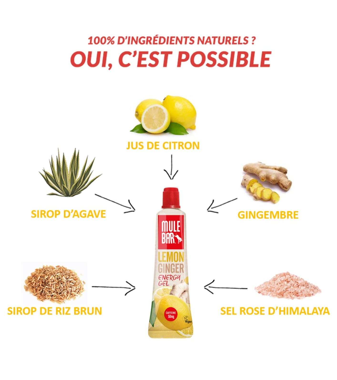 Ingrédients gel énergétique vegan et sans gluten Mulebar citron gingembre guarana