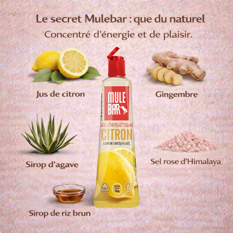 Ingrédients gel énergétique caféiné Mulebar citron