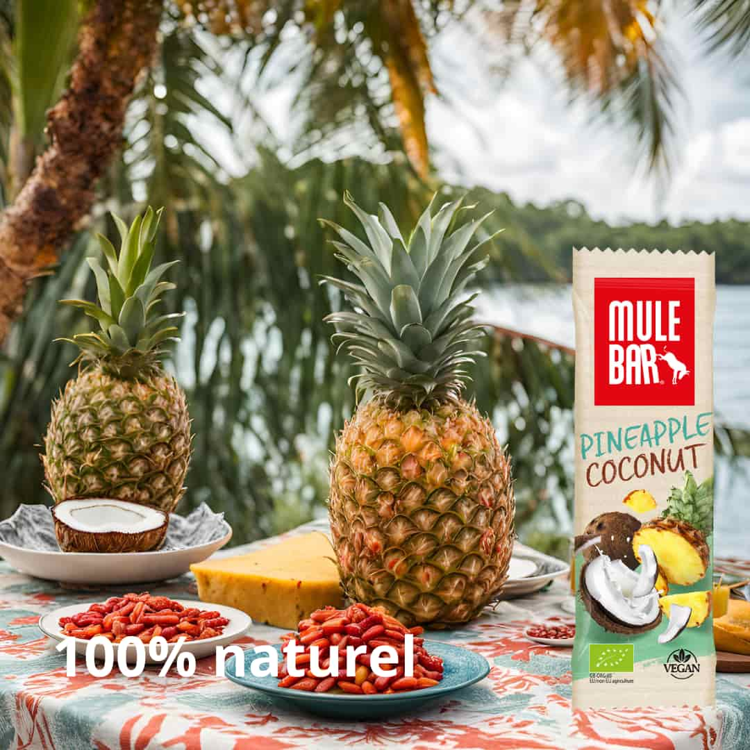 Publicité barre énergétique vegan Mulebar ananas coco baies de goji 40g