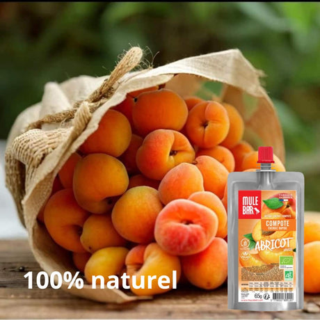 Pubilicté compote énergétique bio et vegan Mulebar abricot 65g