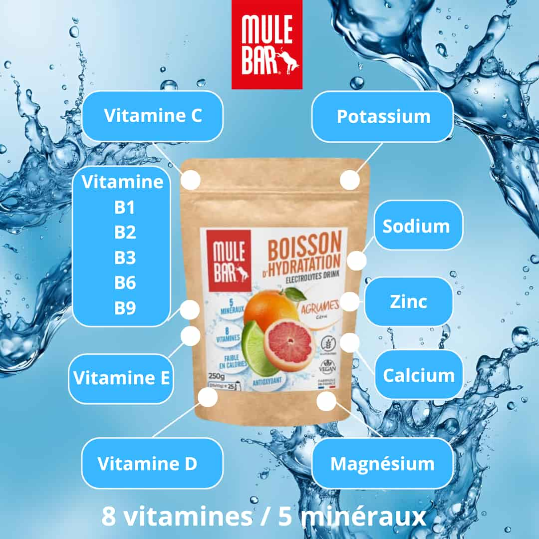 Composition boisson d'hydratation Mulebar agrumes 250g